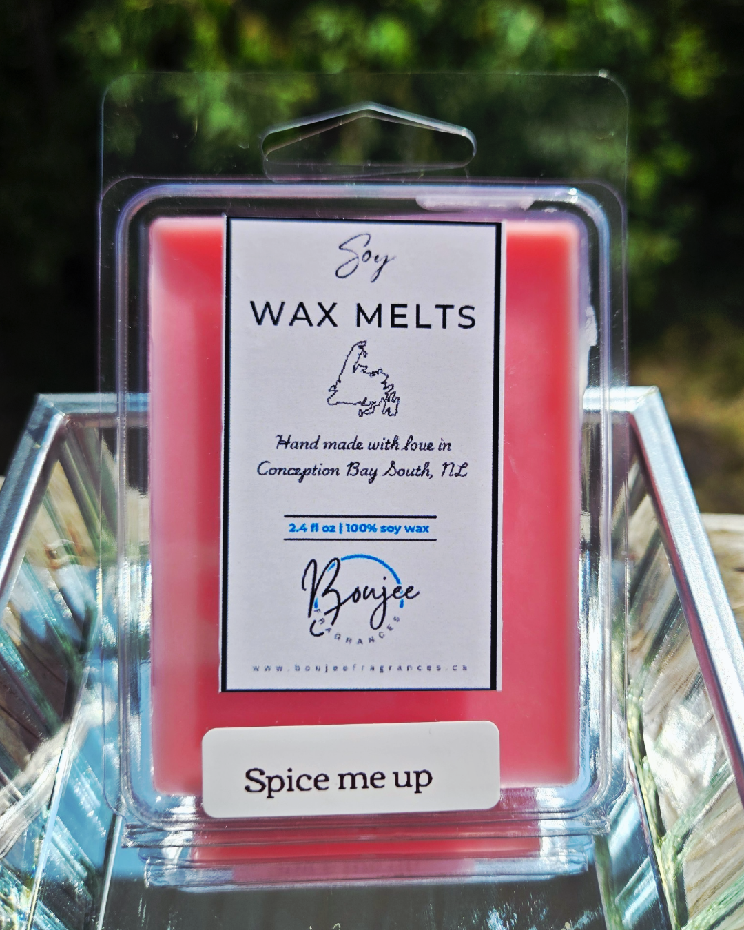 Spice Me Up Soy Wax Melts