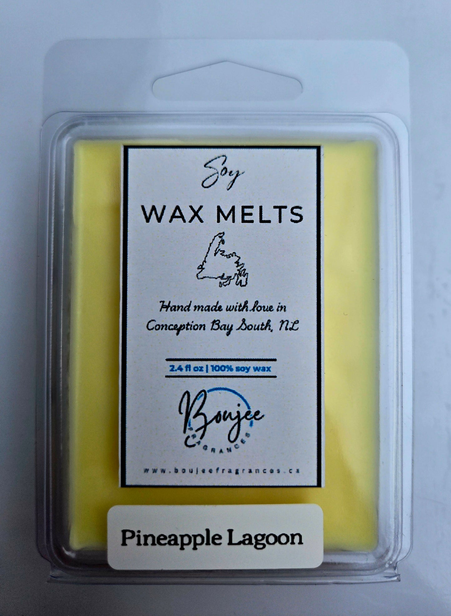 Pineapple Lagoon Soy Wax Melts
