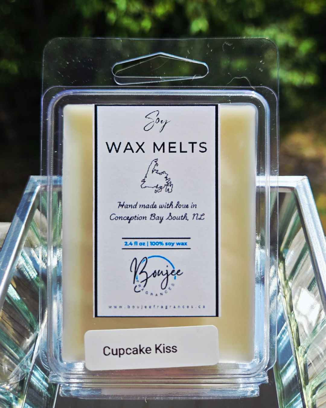 Cupcake Kiss Soy Wax Melts