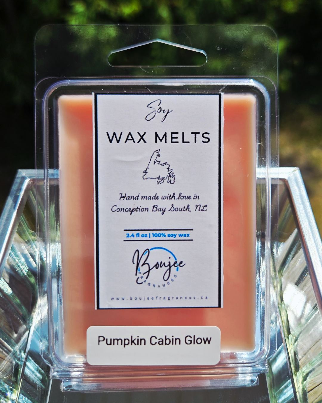 Pumpkin Cabin Glow Soy Wax Melts