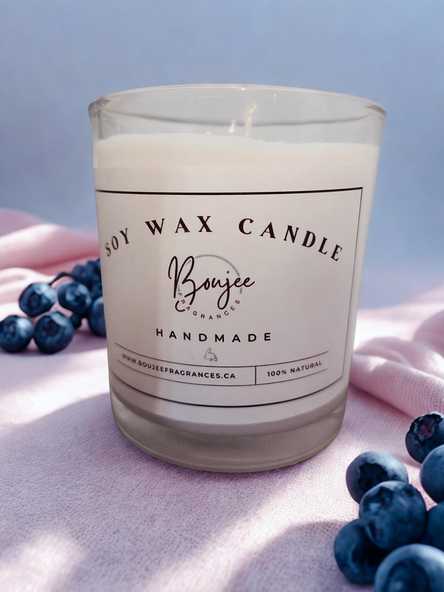Blueberry Delight Soy Candle