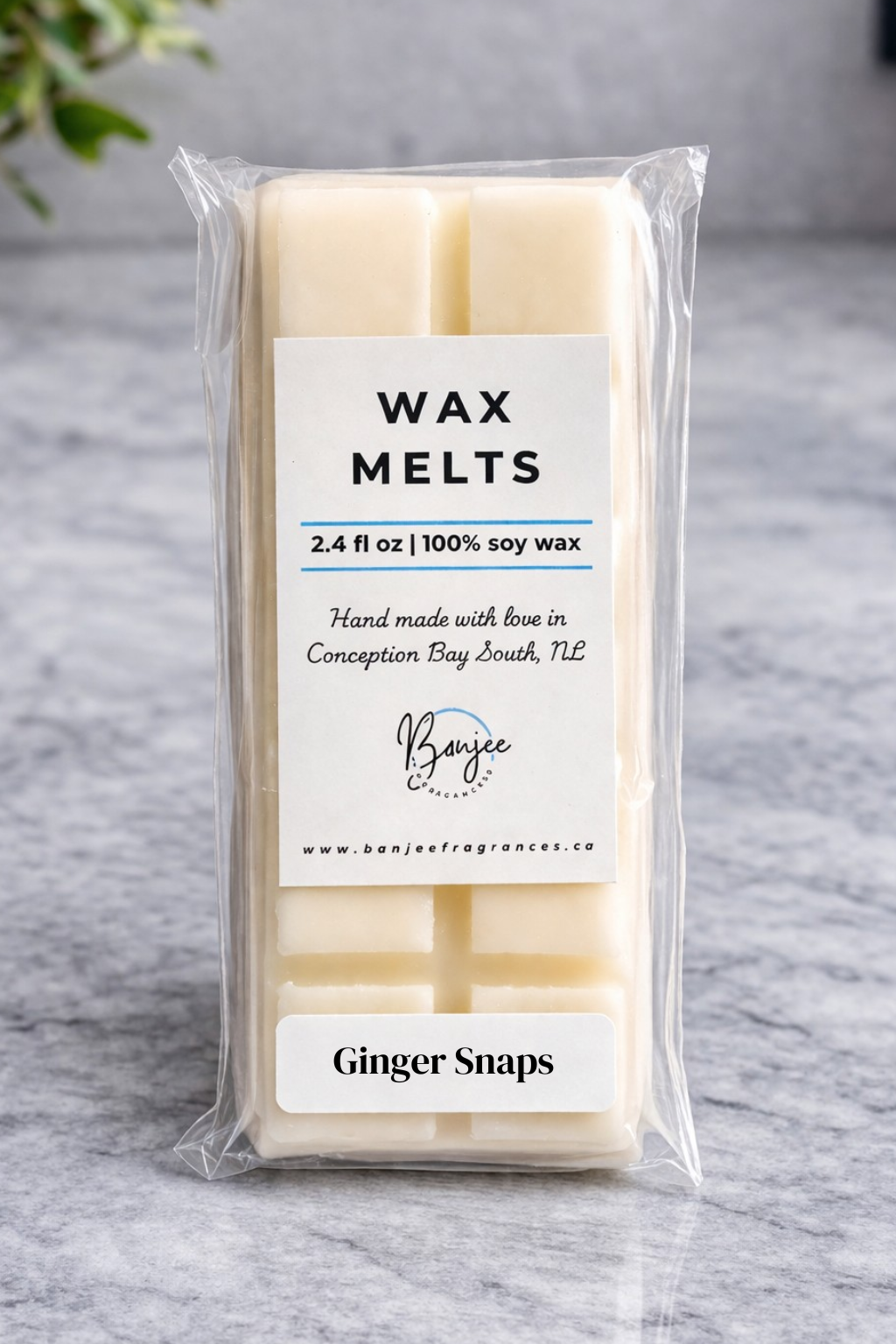 Ginger Snaps Soy Wax Melts